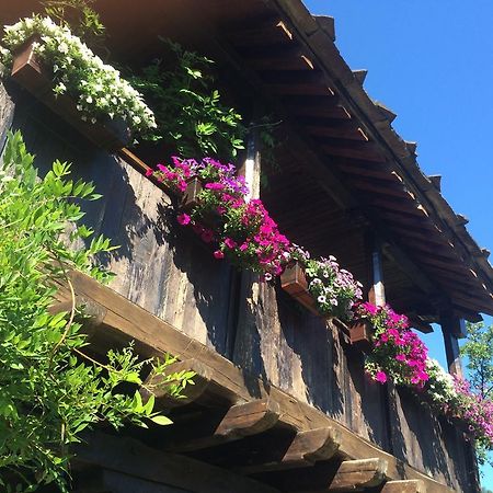 Stefanina Guesthouse Bozhentsi Εξωτερικό φωτογραφία