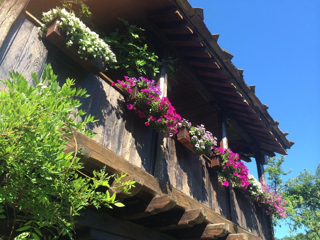 Stefanina Guesthouse Bozhentsi Εξωτερικό φωτογραφία