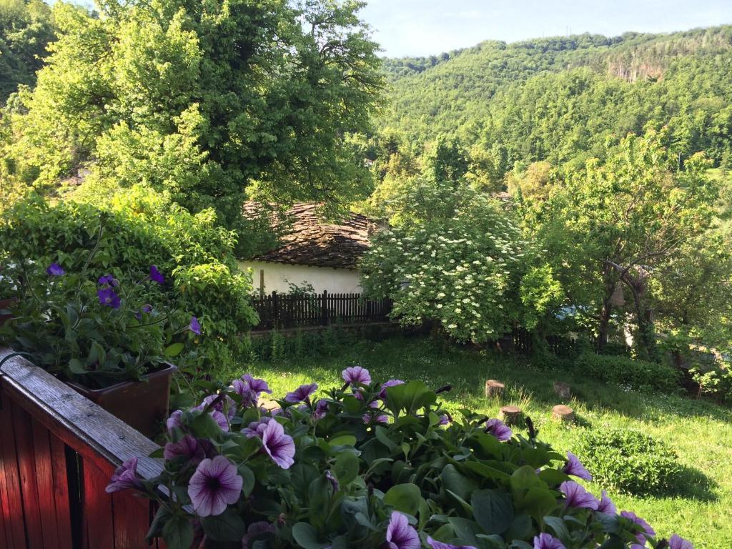 Stefanina Guesthouse Bozhentsi Εξωτερικό φωτογραφία